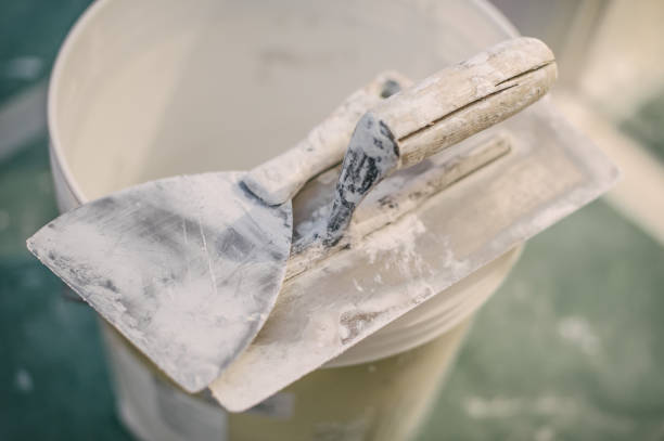 Best Dehumidification Services  in North Puyallup, WA