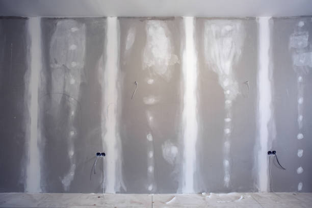 Best HVAC Mold Inspection and Cleaning  in North Puyallup, WA